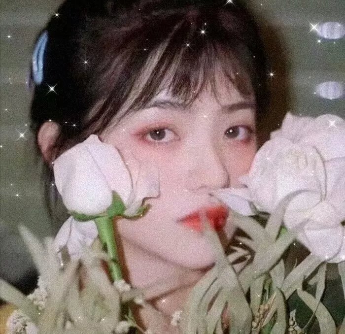 天蛾人的预言
